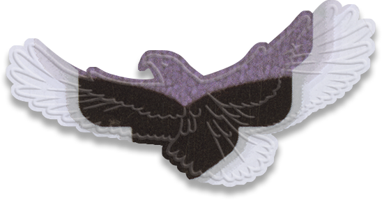 flying eagle