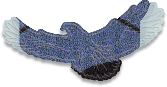flying eagle