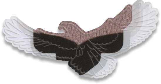 flying eagle